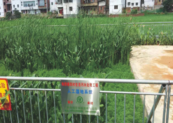 梅州市梅县区梅西镇农村生活污水处理工程人工湿地系统