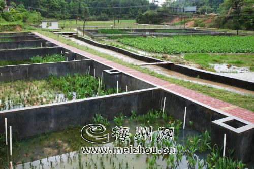 梅州平远投千万元治理八尺镇生活污水